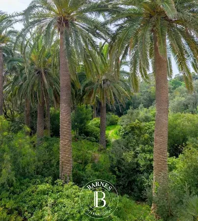 Propriété 20 pièces 545 m²