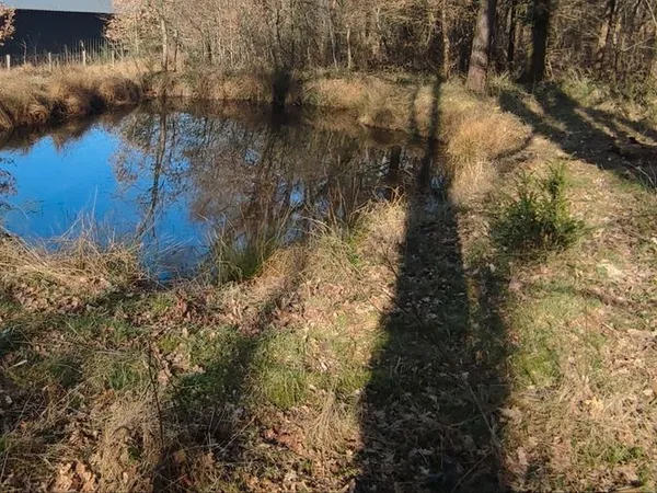 Terrain de loisirs avec maisonnette et mare