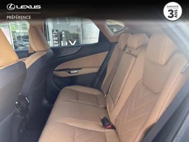 Lexus Nx 450h+ executive 4wd my24 — photo 14