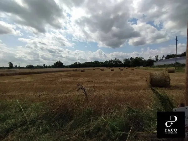 Terrain 5000 m²