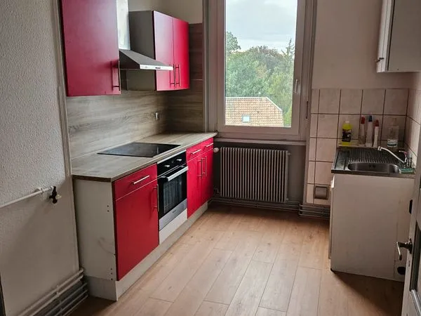 À louer - Beau F3 de 56 m² entièrement rénové - Mulhouse Dornach