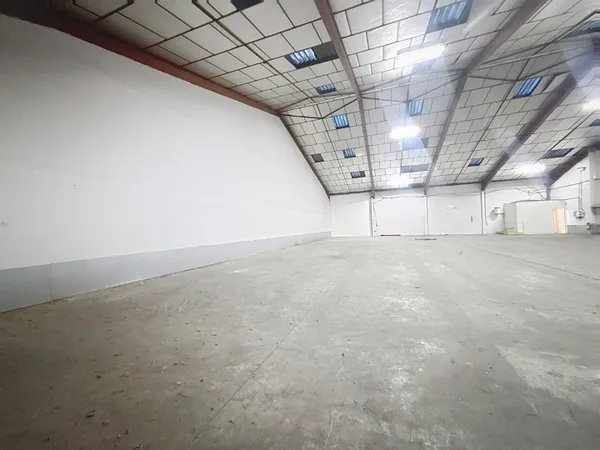 Local commercial 250 m²