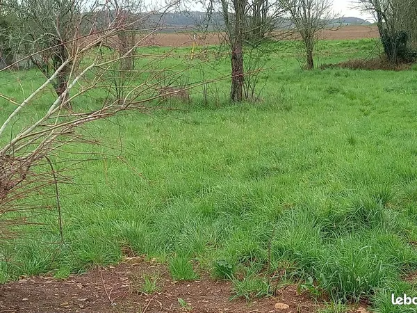 Grand terrain à bâtir 2 789 m² - Libre constructeur - Possibilité 2 à 3 lots - Proche Niort / La Crè