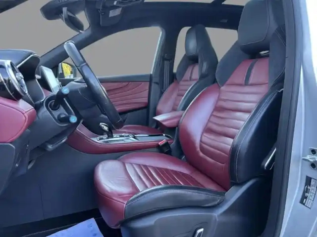 Mg Ehs luxury phev — photo 12