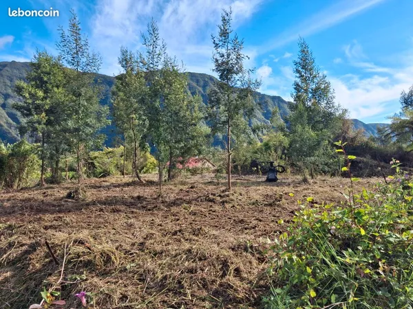 Terrain 1206m2