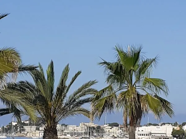 F3 Baie de BANDOL