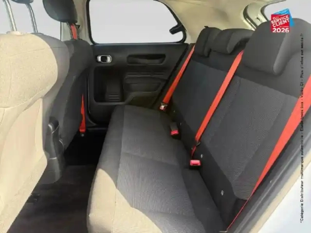 Citroën C4 cactus bluehdi 100 rip curl — photo 11