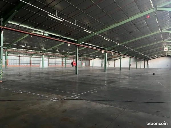 Local d'activité 1 350 m²