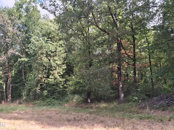 Foret de chênes et de charmes