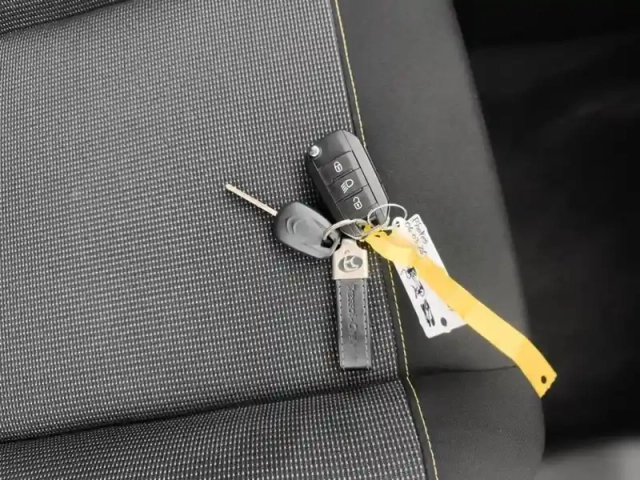Citroën C3 bluehdi 100 ch bvm6 plus — photo 16