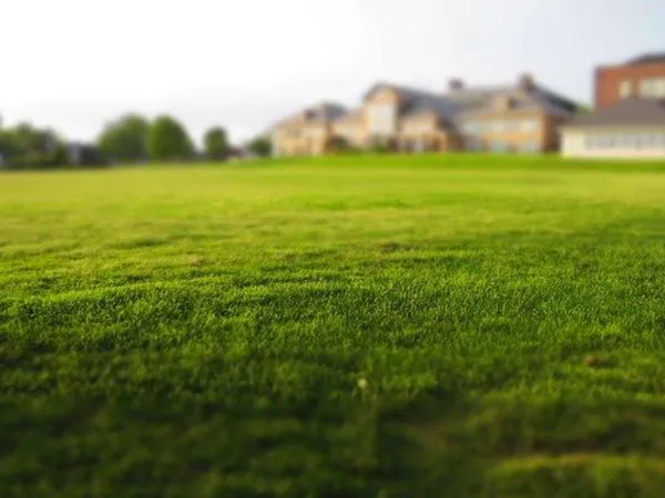 Terrain 271 m²