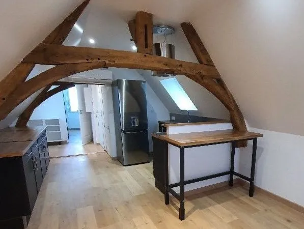 Studio rénové 37 m² au sol - Climatisation - Idéal actif Paris/Tours nord