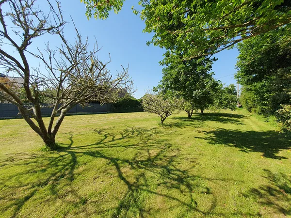 Terrain 986 m²