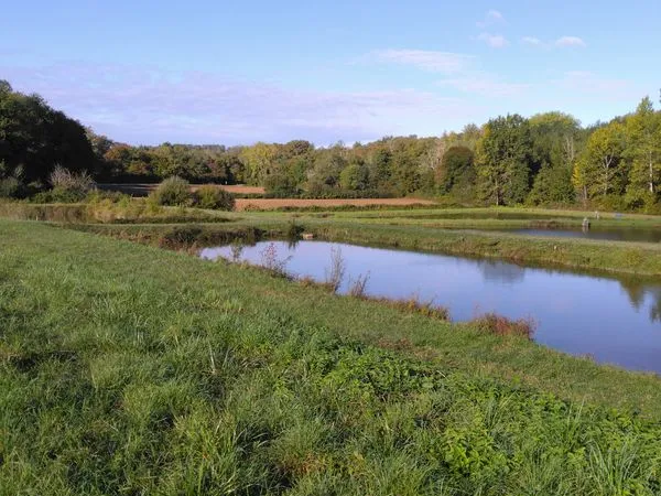 Plan d'eau Vente Cocumont 42000m² 245000€