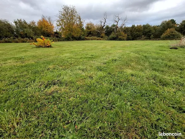 Grand Terrain constructible viabilisé de 1930 m² disponible libre constructeur situé à Champagné à 1