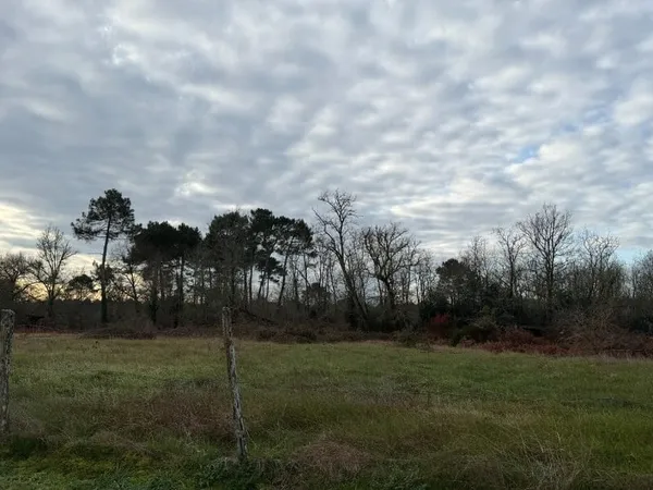 Terrain 1170 m²