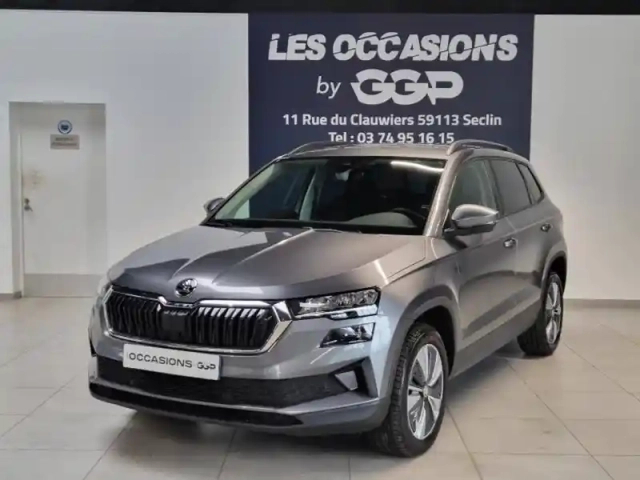 Skoda Karoq 2.0 tdi 116ch scr business dsg7