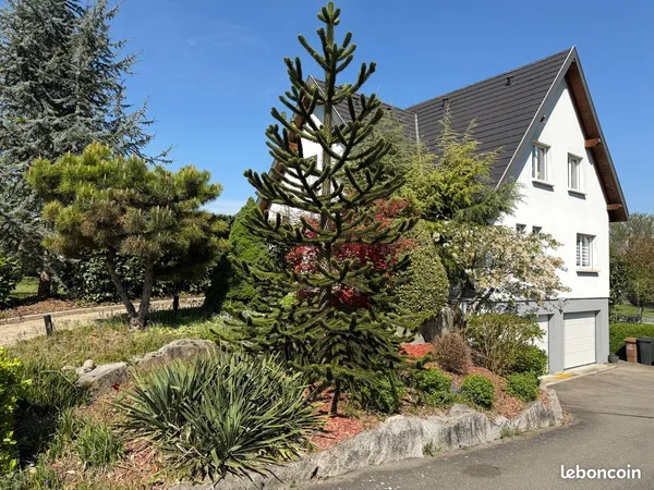 Maison - Walheim - surf. Utile 215 m² + sous-sol 90 m² — domotique, piscine, proche Suisse