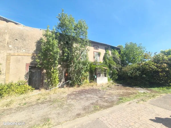 Bien agricole et foncier Vente Val de Briey 13p 300m² 300000€