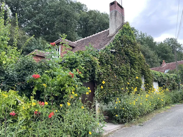 Maison de charme à Vernou sur Brenne : un projet plein de potentiel !