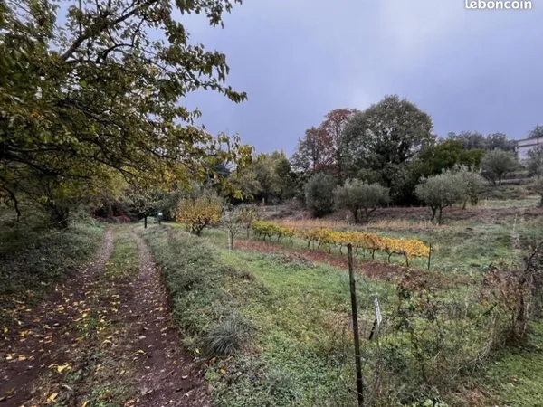 Terrain constructible