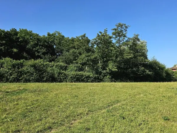 Terrain 1 780 m² Peronnas