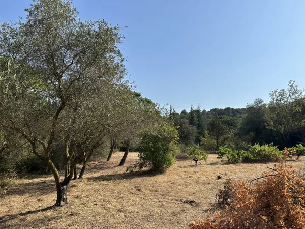 Terrain en individuel 740 m²