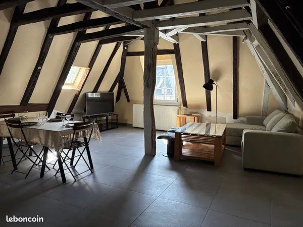 Grand appartement centre Saumur