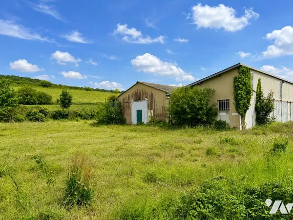 Local d'activités 300 m²