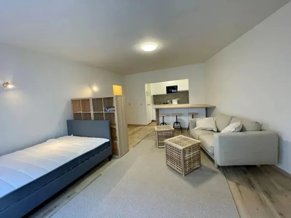 Studio 1 pièce 30 m²