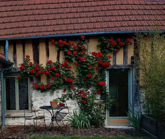 Chambre etudiant chez l'habitant
