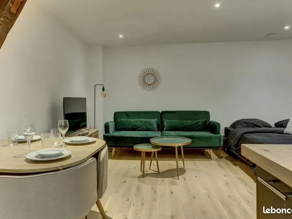 Grand Studio 26 m²