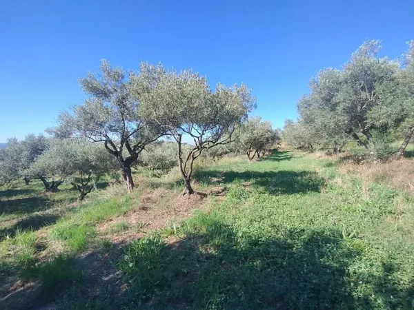 Terrain 2504 m²