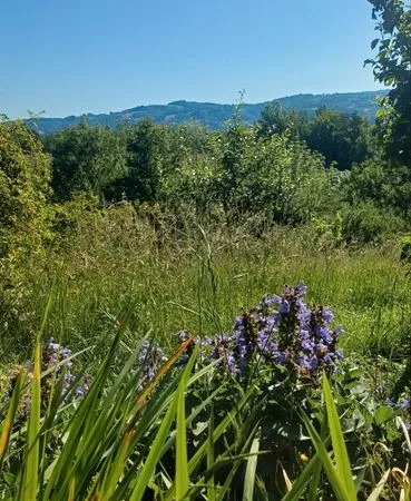 Maison bioclimatique neuve, au calme, vue panoramique, vallée de la Dordogne