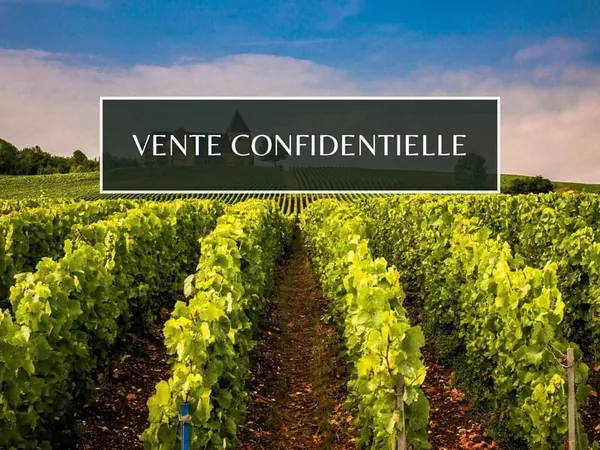 Un Château Remarquable et Domaine Viticole au Coeur du Vignoble Bergeracois