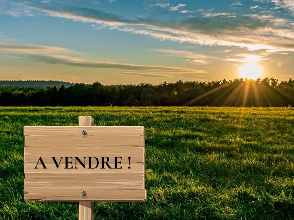 Terrain 695 m²