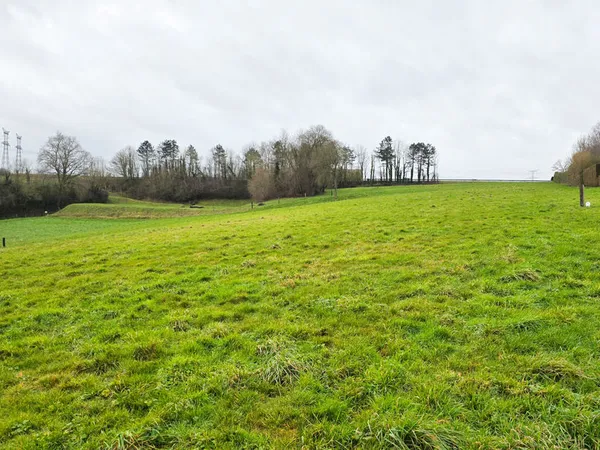 SAINT VALERY EN CAUX, TERRAIN CONSTRUCTIBLE DE 9.898 m2