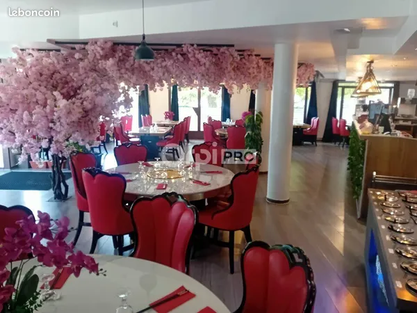 Local commercial 300 m²