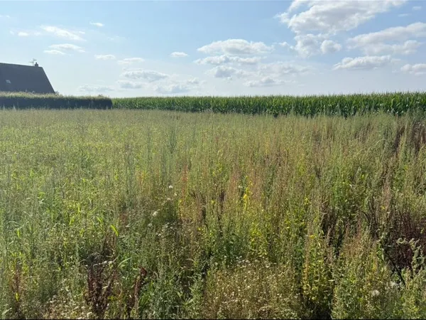 Terrain 1100 m²