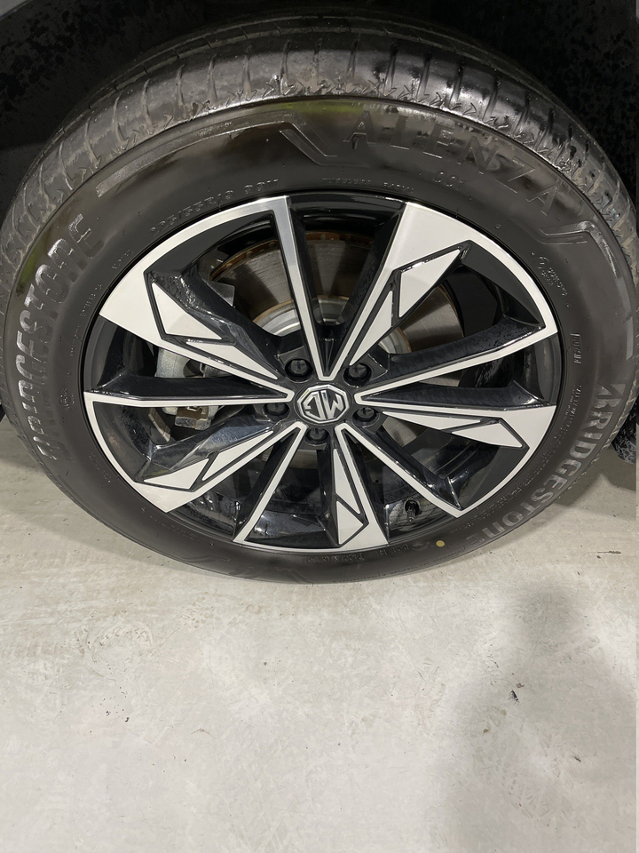 MG EHS — photo 36