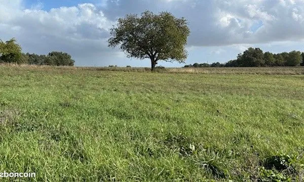 Terrain 500 m² Daignac