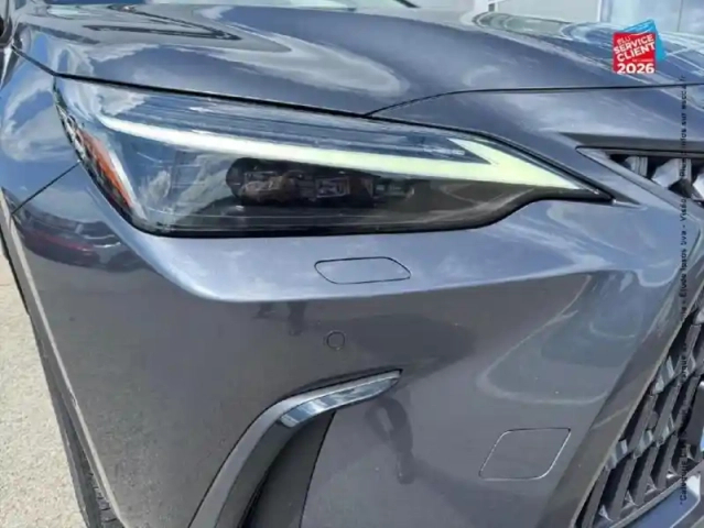 Lexus Nx 450h+ executive 4wd my24 — photo 13