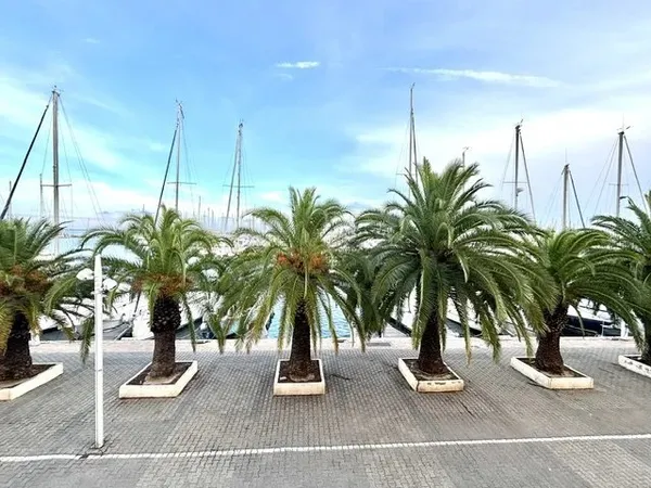 Gruissan, vue Mer et Port, T1 bis de 27 m²