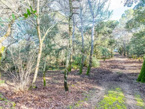Terrain 1290 m²