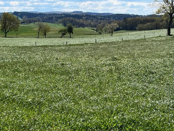 Terrain 1 700 m² Marcoles