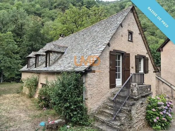 Ancien moulin en pierre rénové avec terrain
