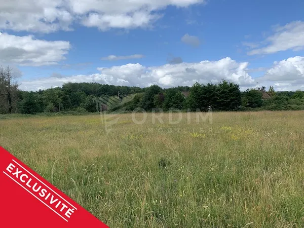 Beau terrain plat Toucy 5257 m2