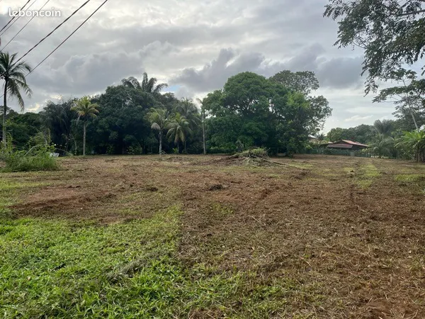 Terrain situé en zone 2AU sur Remire-Montjoly