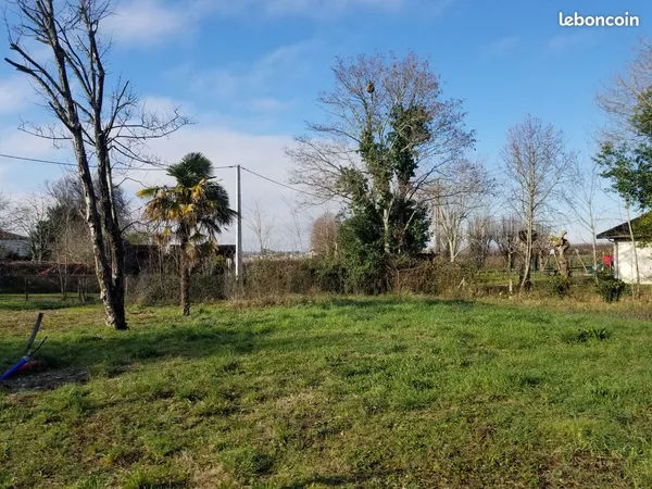 Terrain constructible