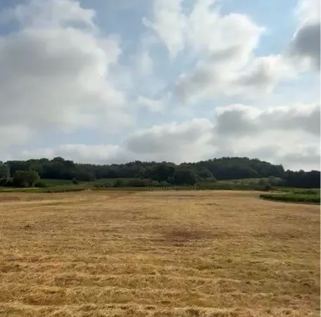 Terrain agricole à vendre